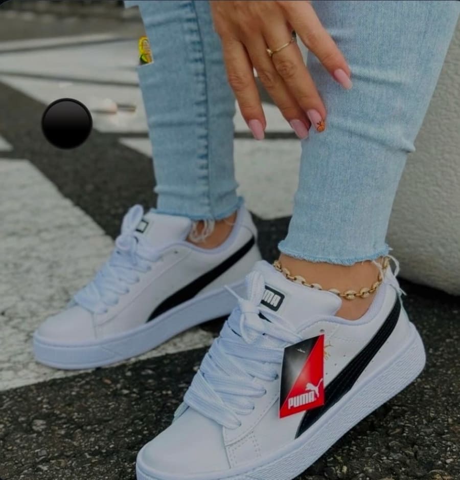 Puma 2