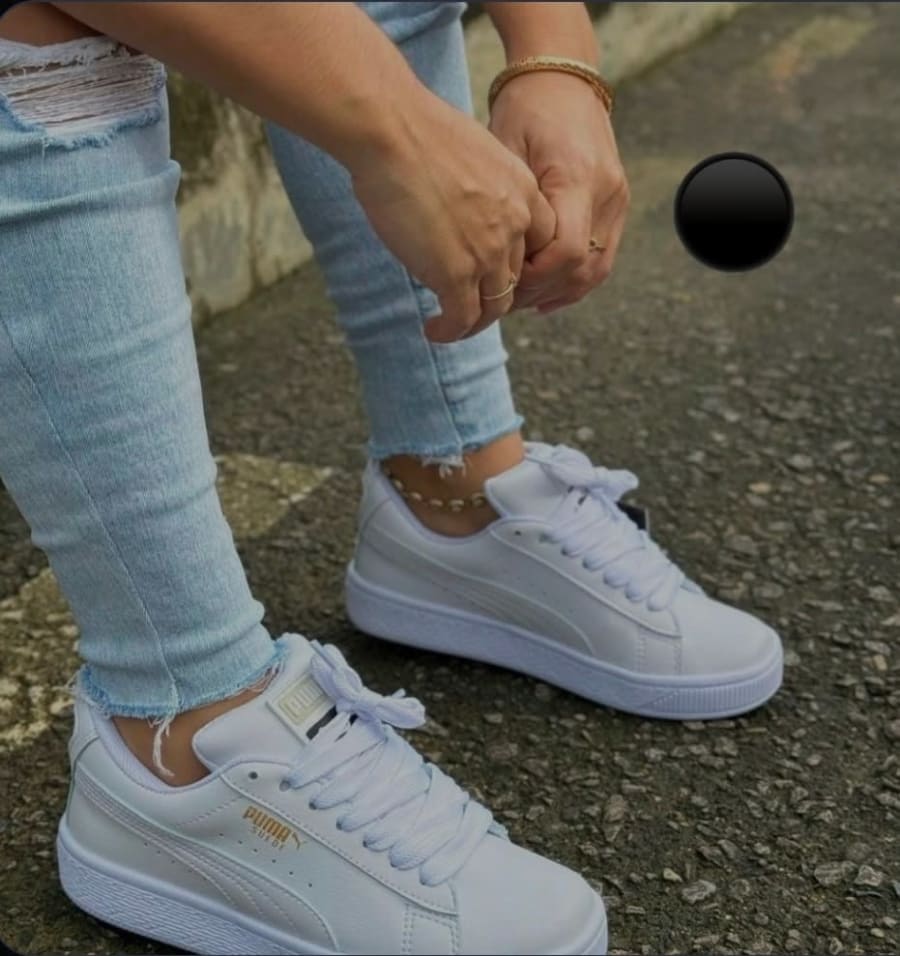 Puma 1