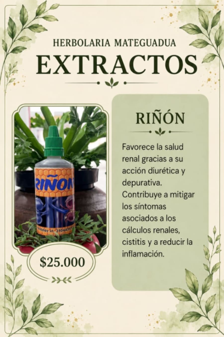 Riñón 1
