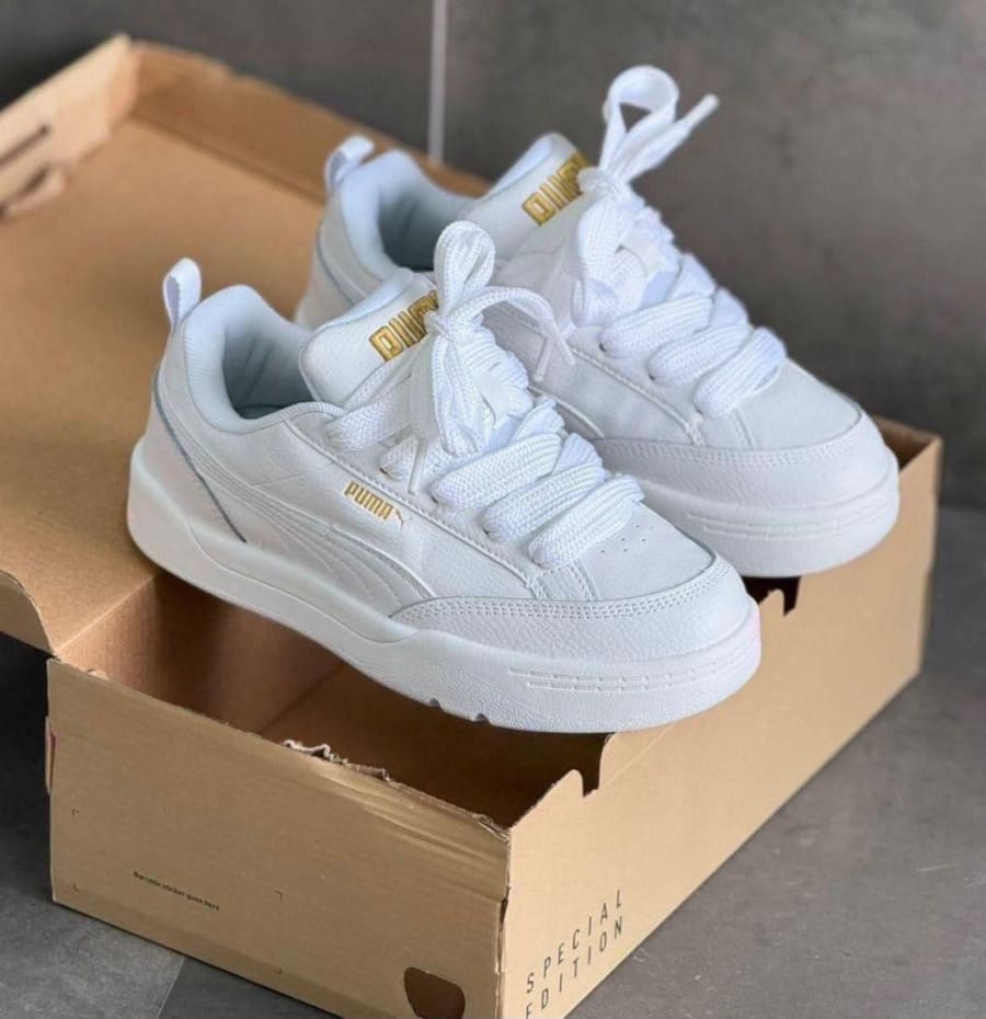 Puma 1