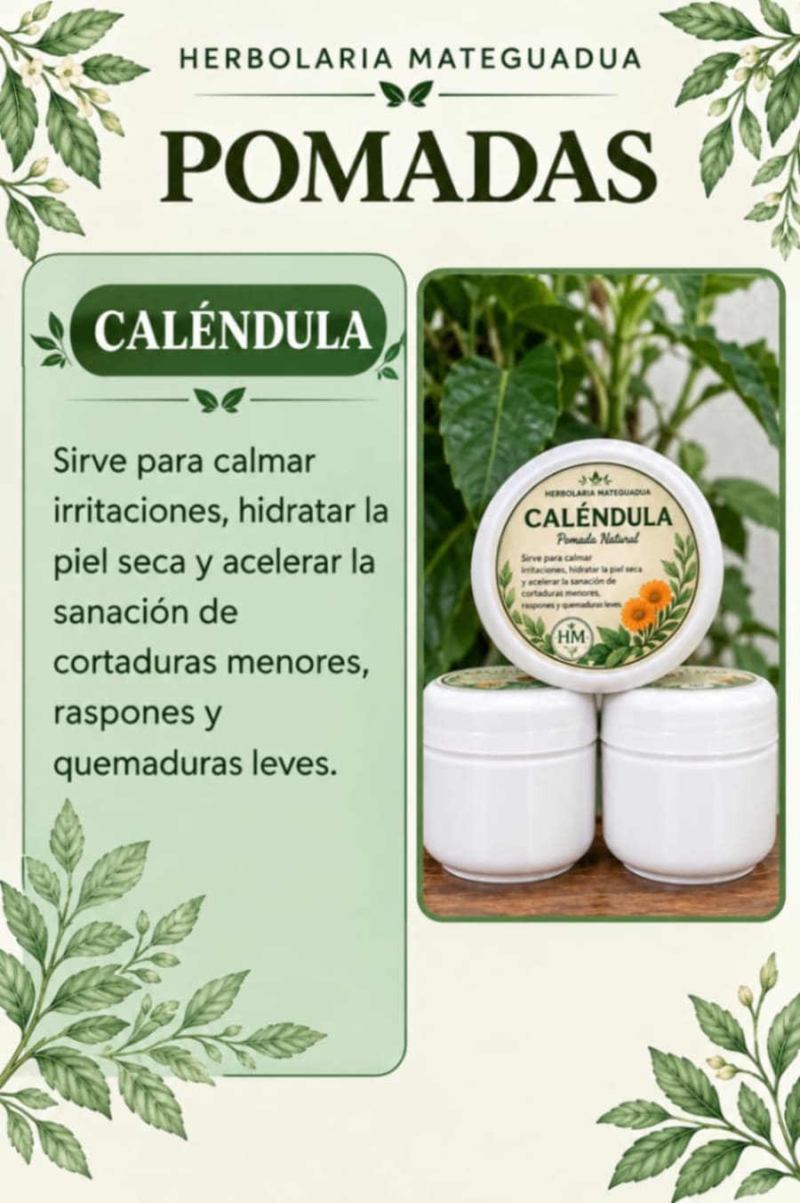 Caléndula 1