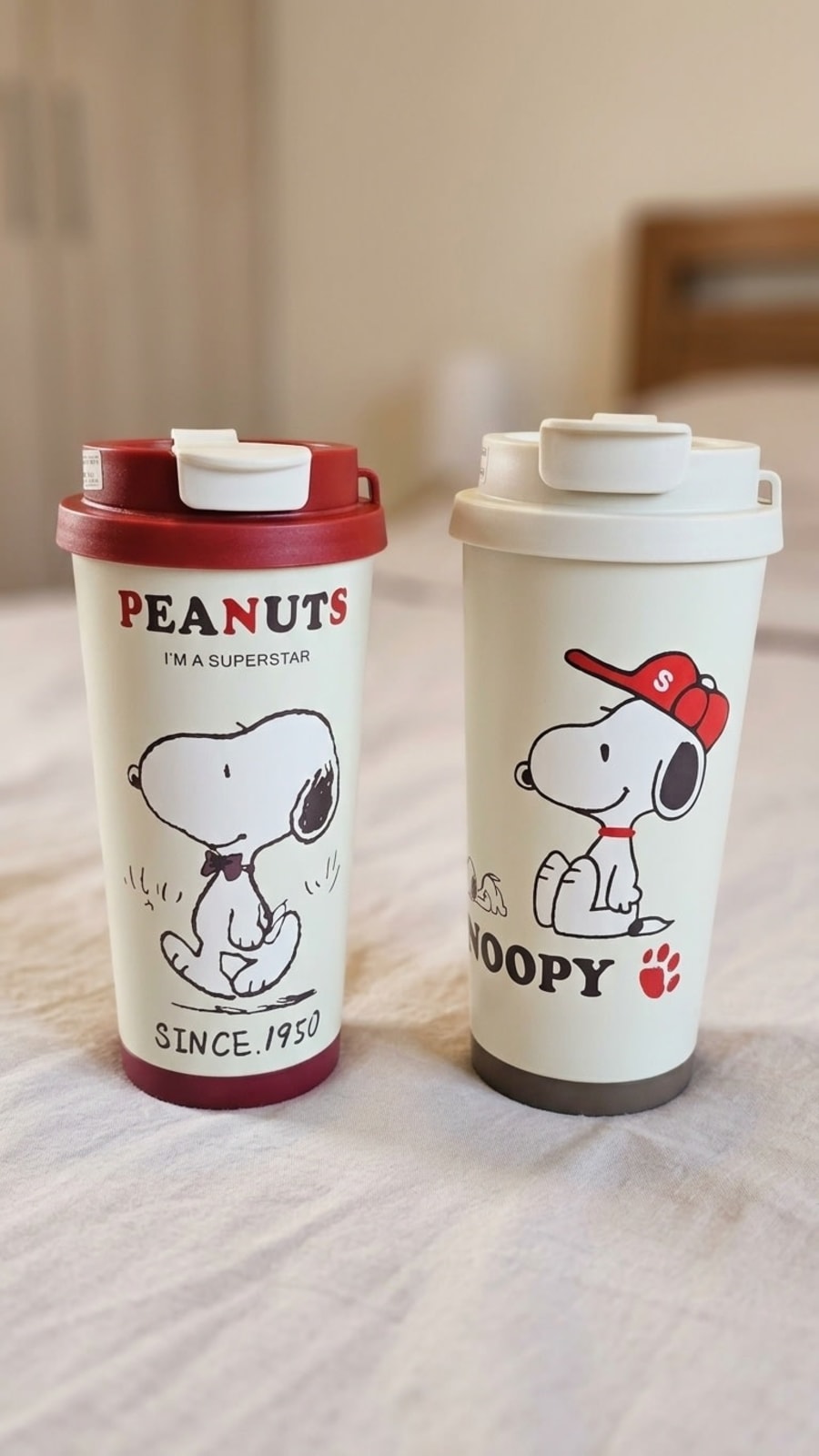 Termos Térmicos Snoopy 1