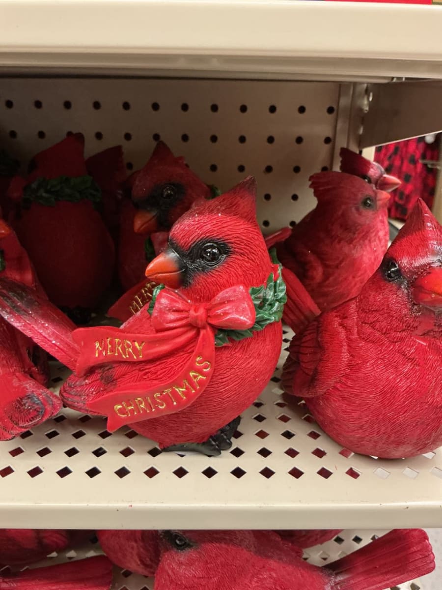 Pajarito rojo cardinal 1