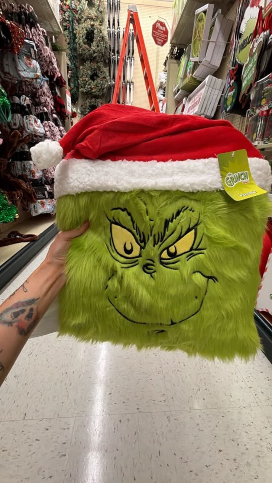 Cojín de grinch 1