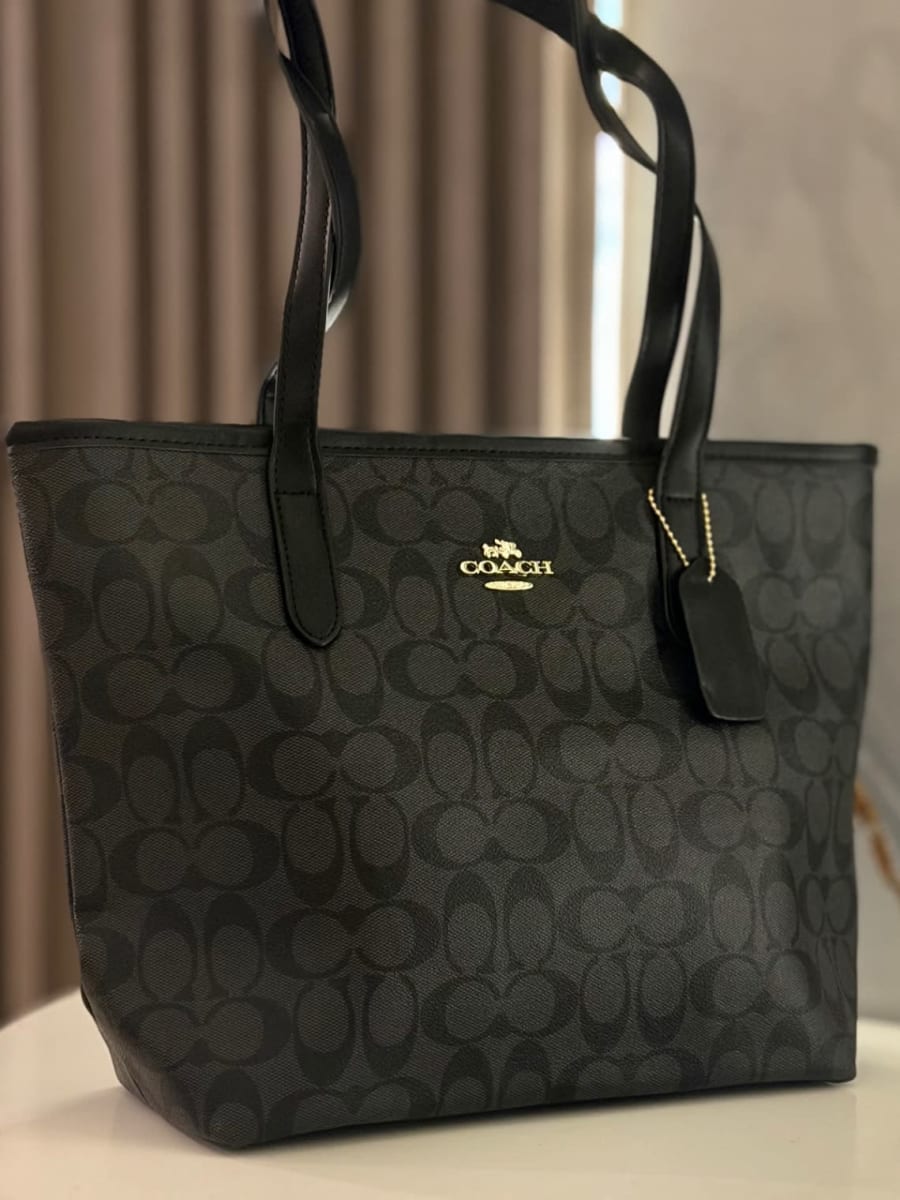 Neverfull Coach 2