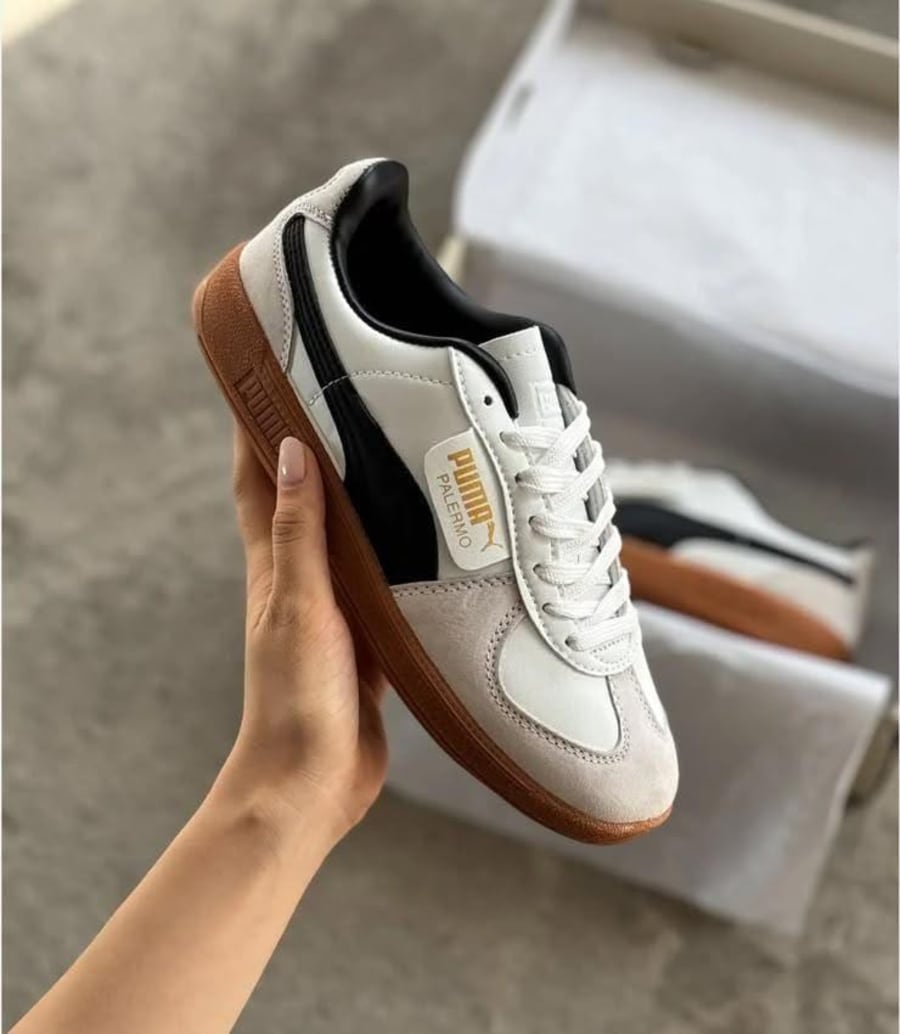 Puma 1