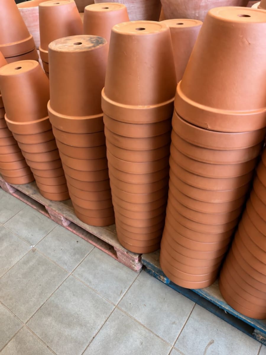 Macetas de Terracotta 2