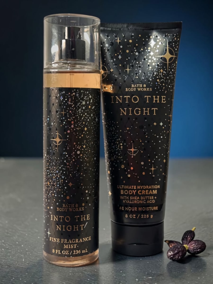INTO THE NIGHT 1