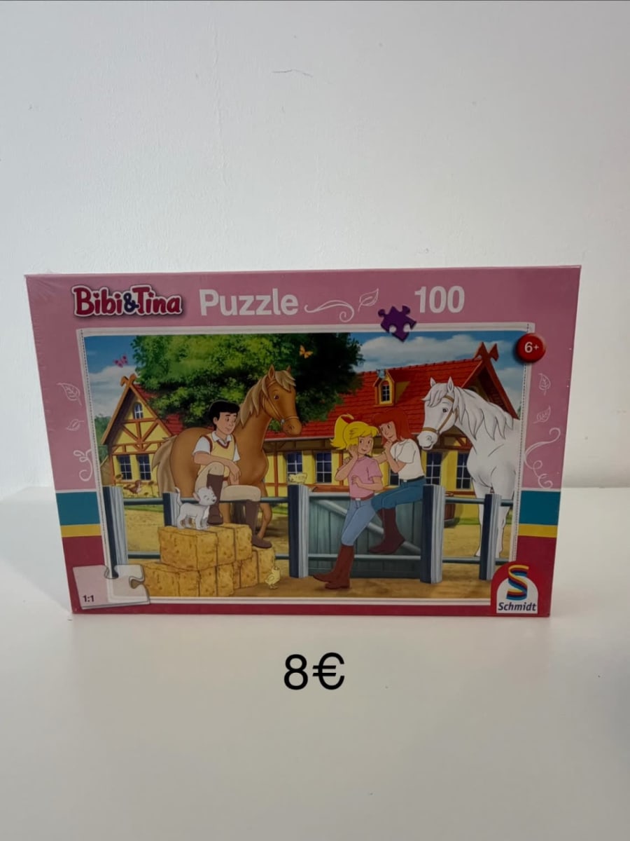 Puzzle 100 piezas 1