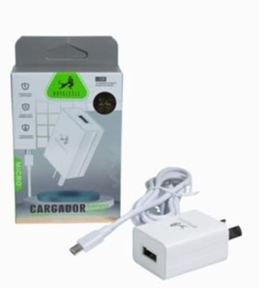 CARGADOR RC5003 TIPO C 1