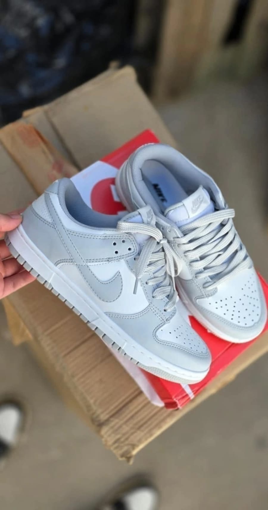 Nike Dunk Gris 1