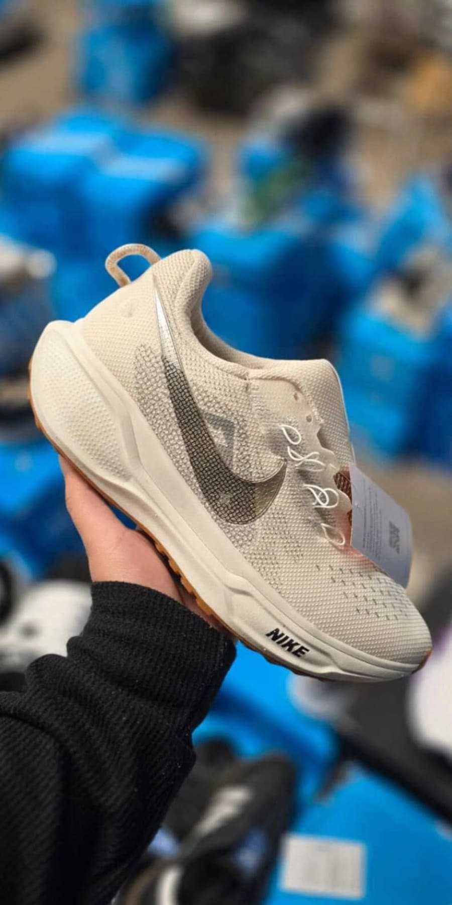 Nike Pegasus Trail 5 Crema 1