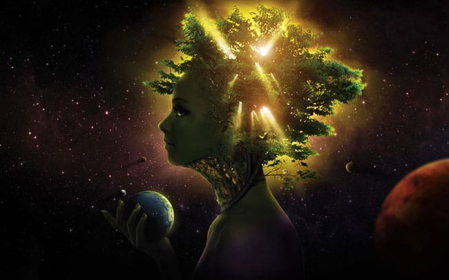 Gaianetsaude ambiental-e-meio-ambiente