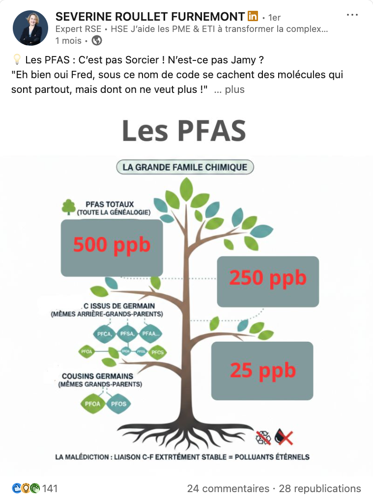 Publication de Séverine — 02 · Référence culturelle + infographie : 141 réactions, 24 commentaires et 28 republications.