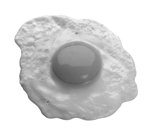 egg