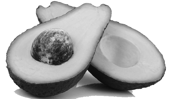 avocado