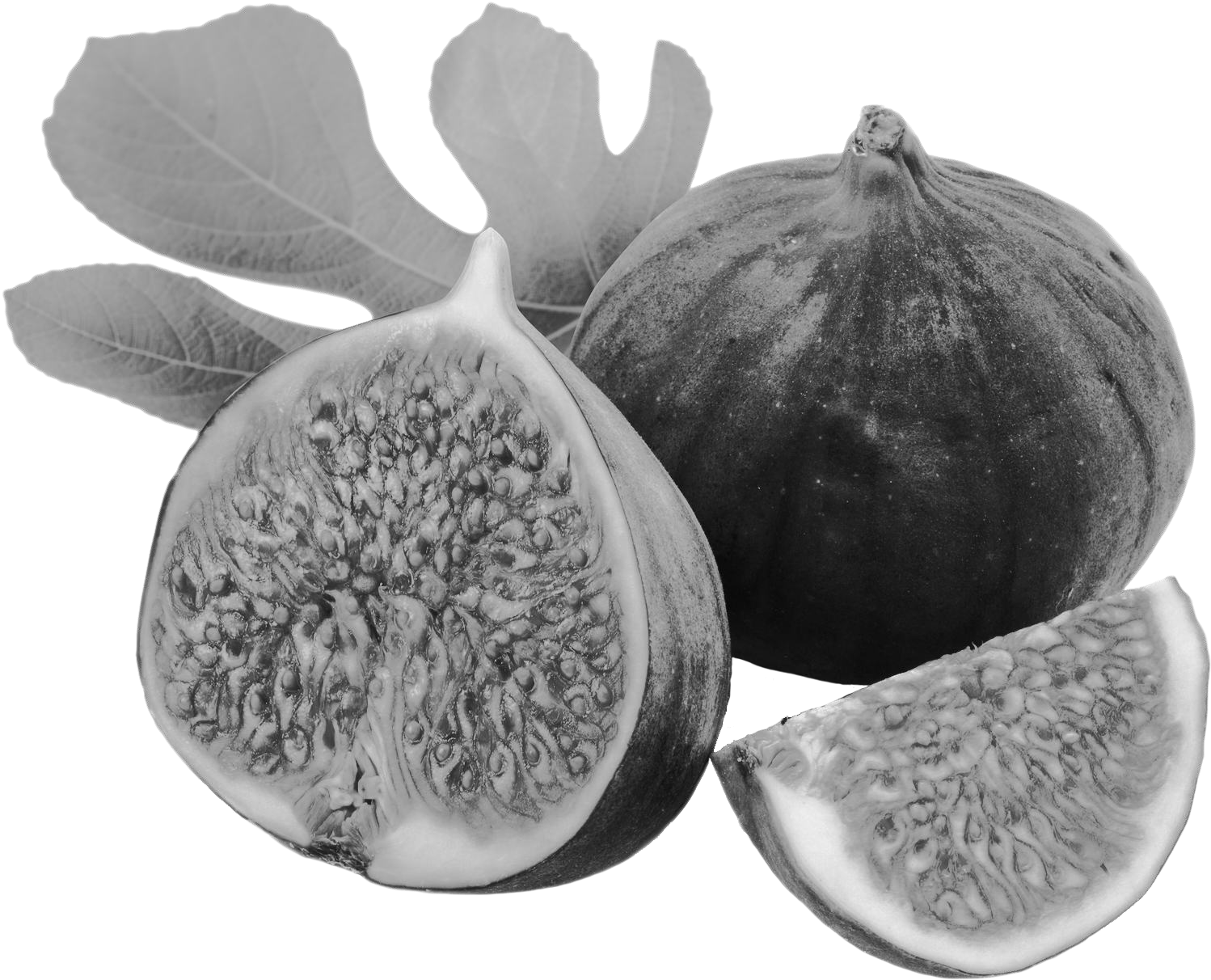 figs