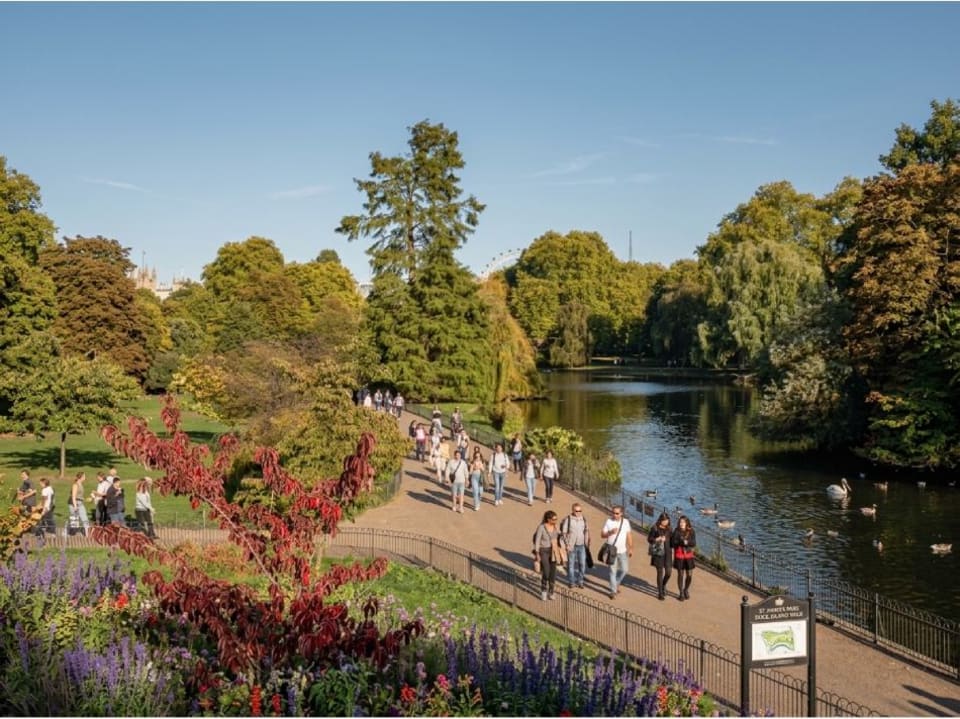 St James's Park in London, big green park with a lake in the middle