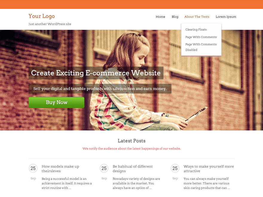salejunction WordPress theme