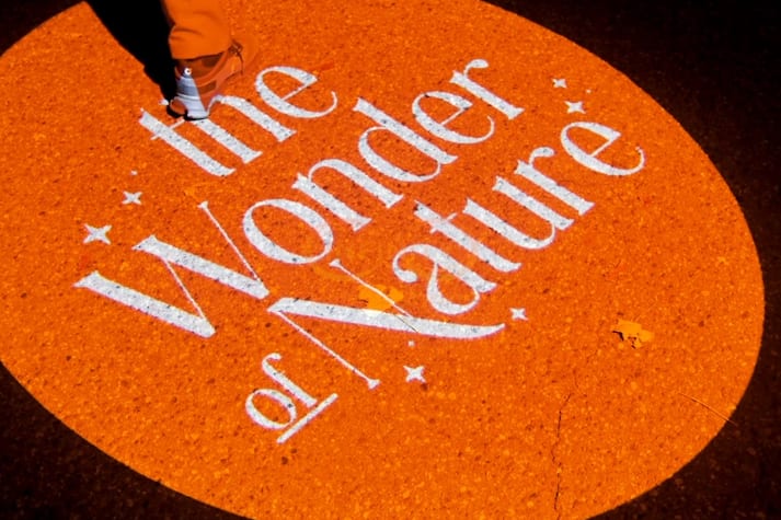 Video: "the Wonder of Nature" script glows in an orange circle on a sidewalk as a visitor steps through