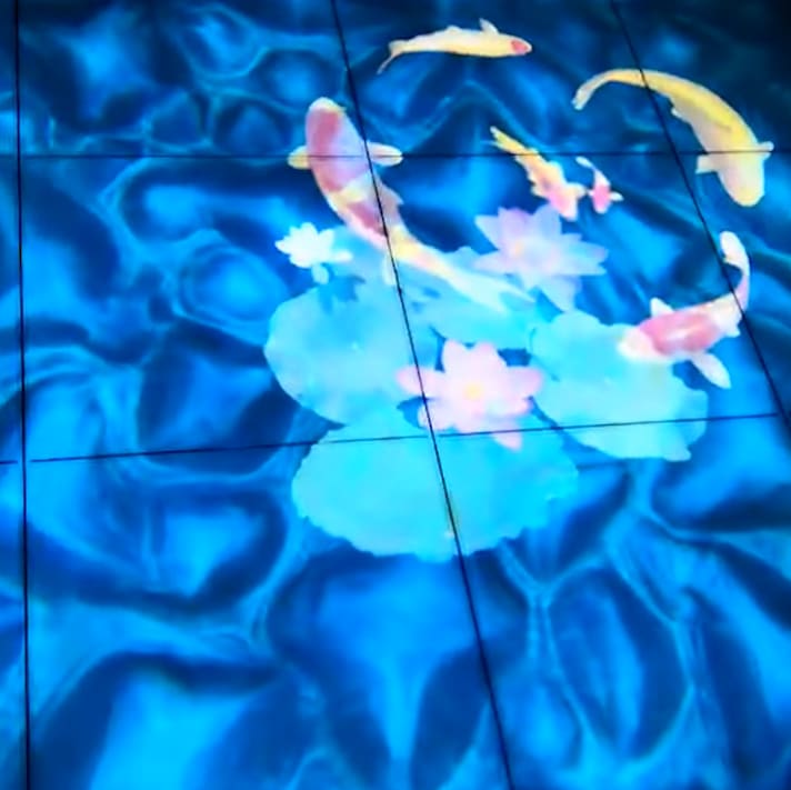 Video: koi fish glide around lotus flowers on a rippling blue water floor projection