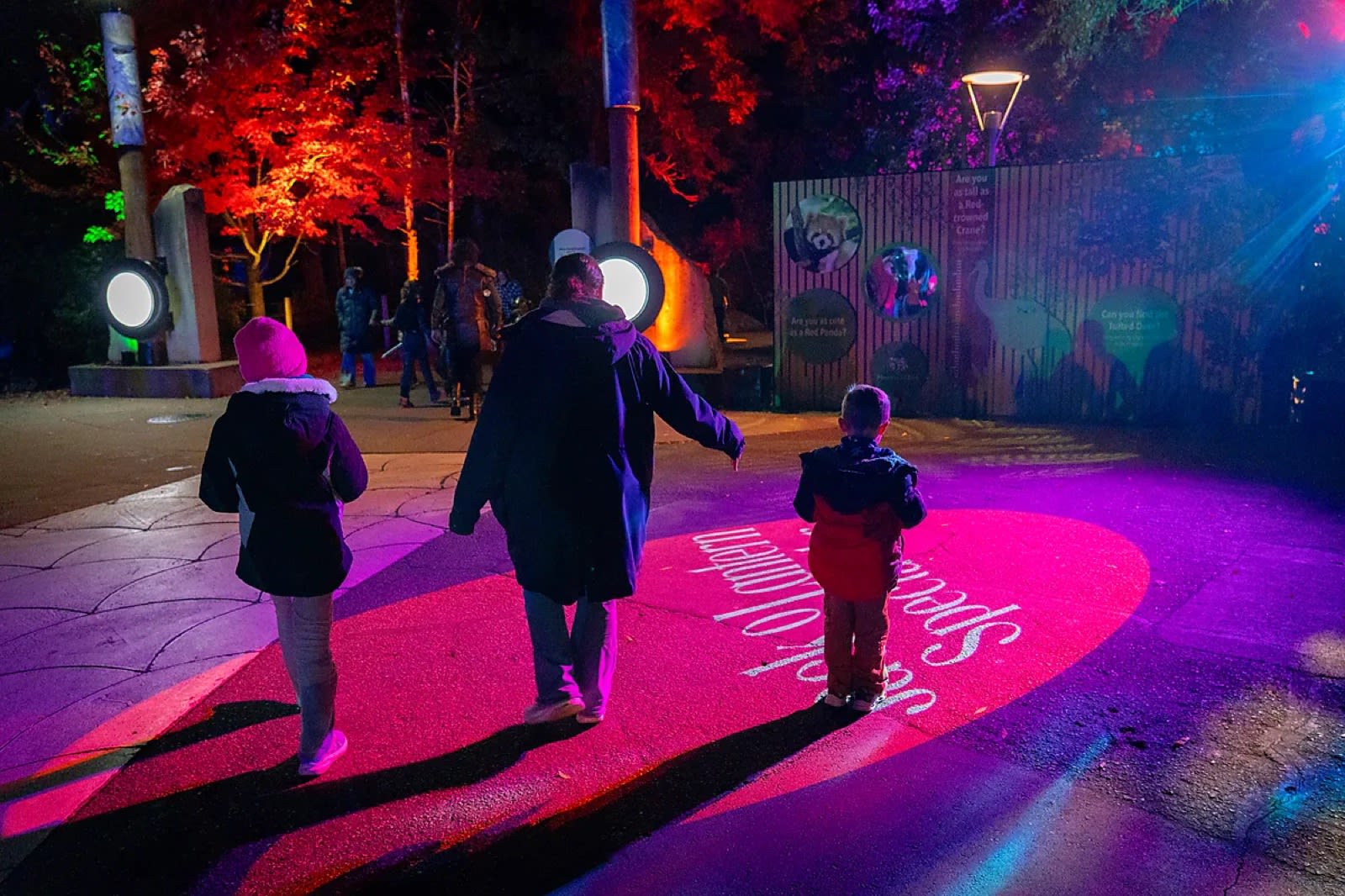 A family walking through a bright magenta logo projection on an outdoor zoo pathway at night