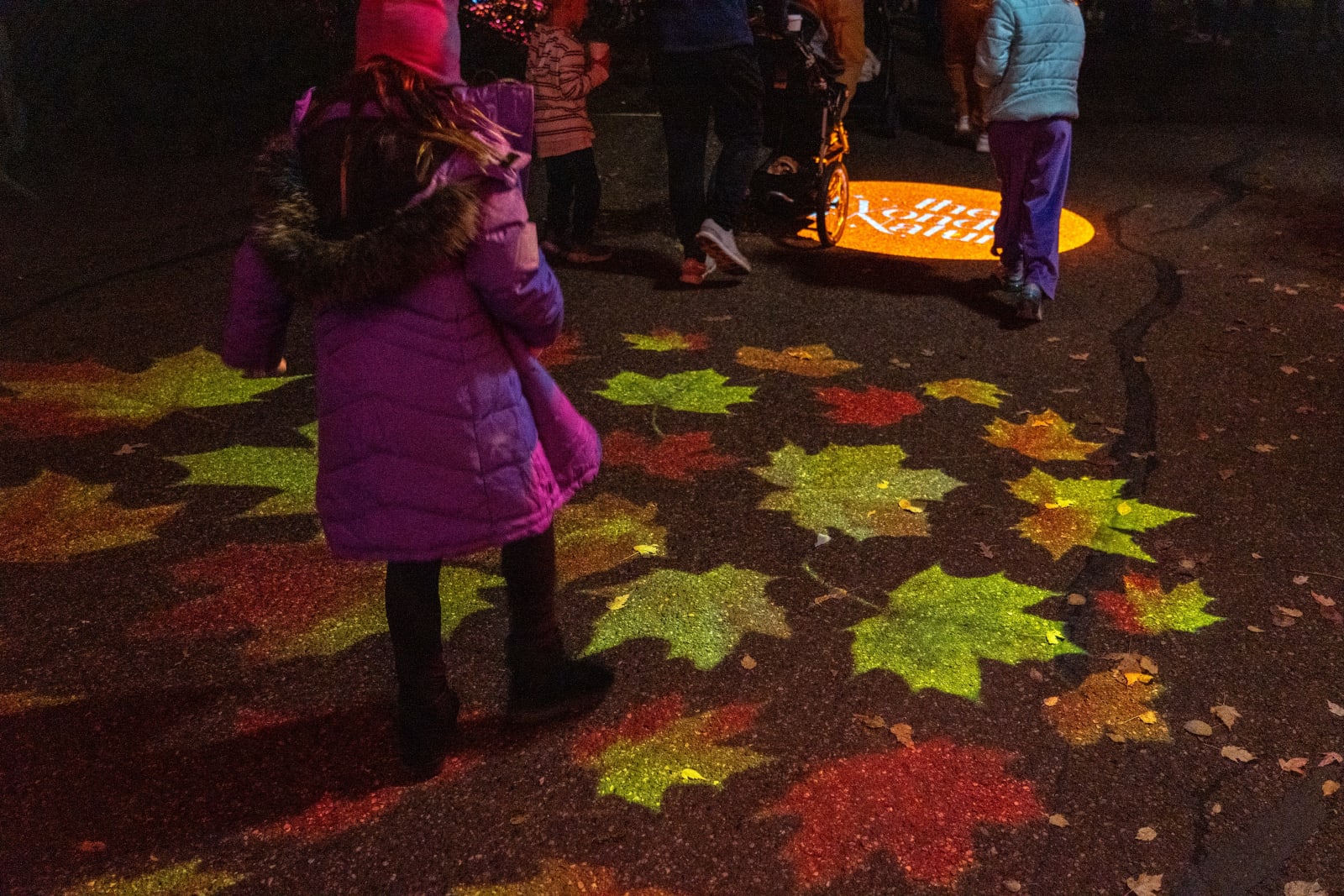 Autumn maple leaf gobos in red, gold and green light the pavement around a young girl in a purple coat