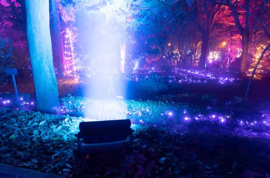 Party & event gobo projection design — gobo projector design