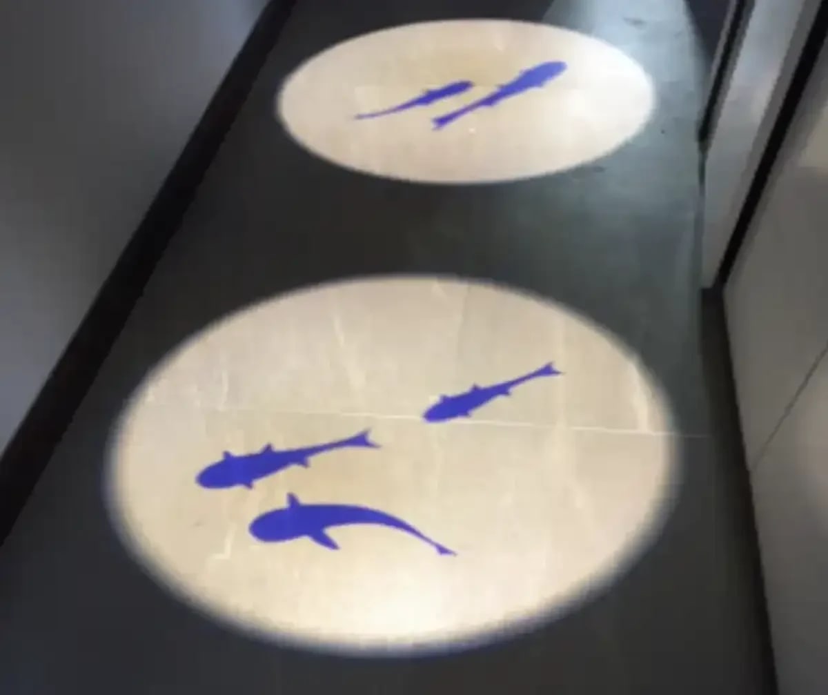 Two glowing circles with blue fish silhouettes projected on dark stone tiles beside a mirrored wall