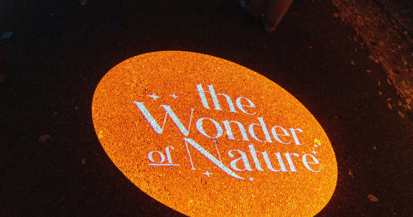 The Wonder of Nature in white script inside a glowing orange oval, a crisp gobo floor projection on dark asphalt