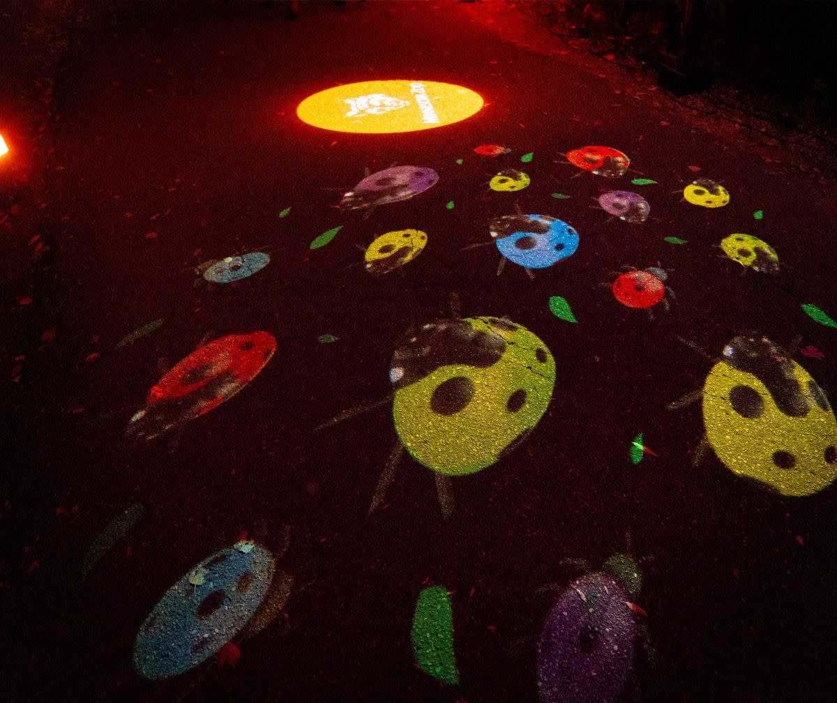 Multicolored ladybug gobos crawl across dark pavement in this product image with gobo projector banner
