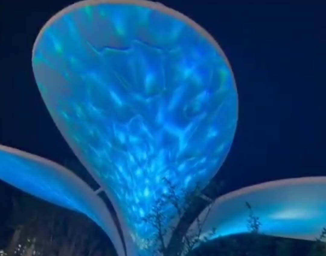 Video: shimmering water-effect light washes over giant petal sculptures against the night sky