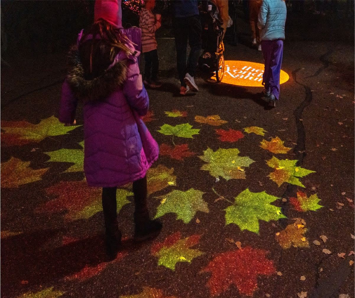 Girl in a purple parka among projected autumn leaves on pavement, product image with logo projector banner