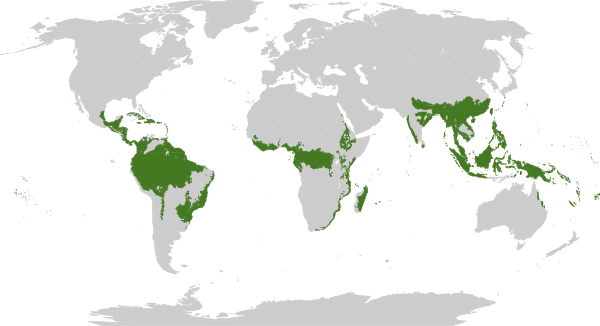 Biome map 1