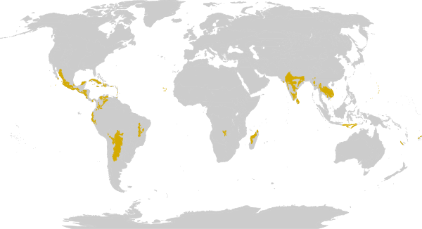 Biome map 2