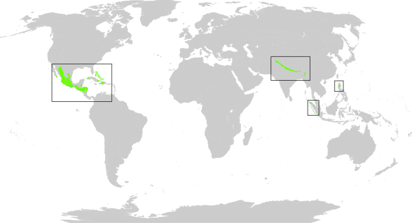 Biome map 3