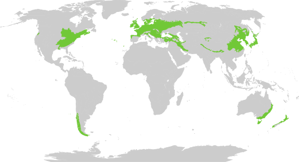 Biome map 4