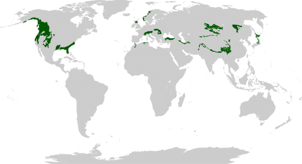 Biome map 5