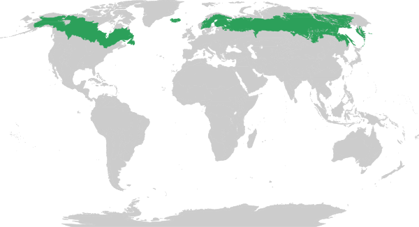 Biome map 6