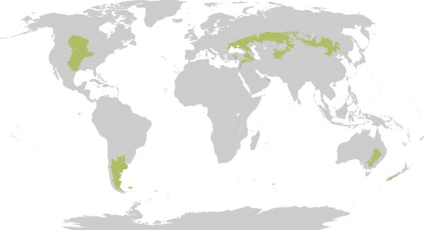 Biome map 8