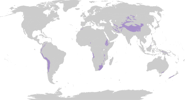 Biome map 10