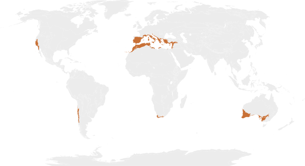 Biome map 12