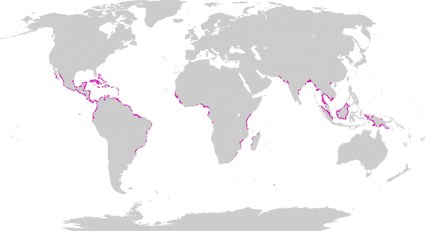 Biome map 14