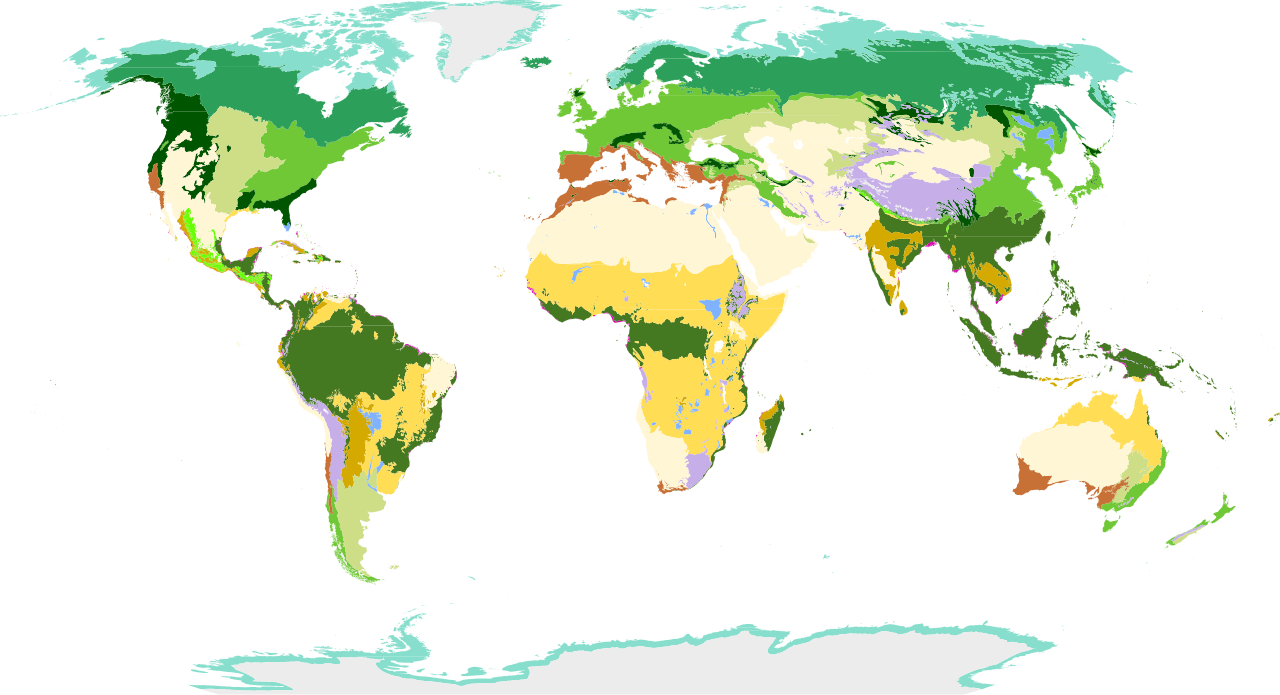 Biomes map