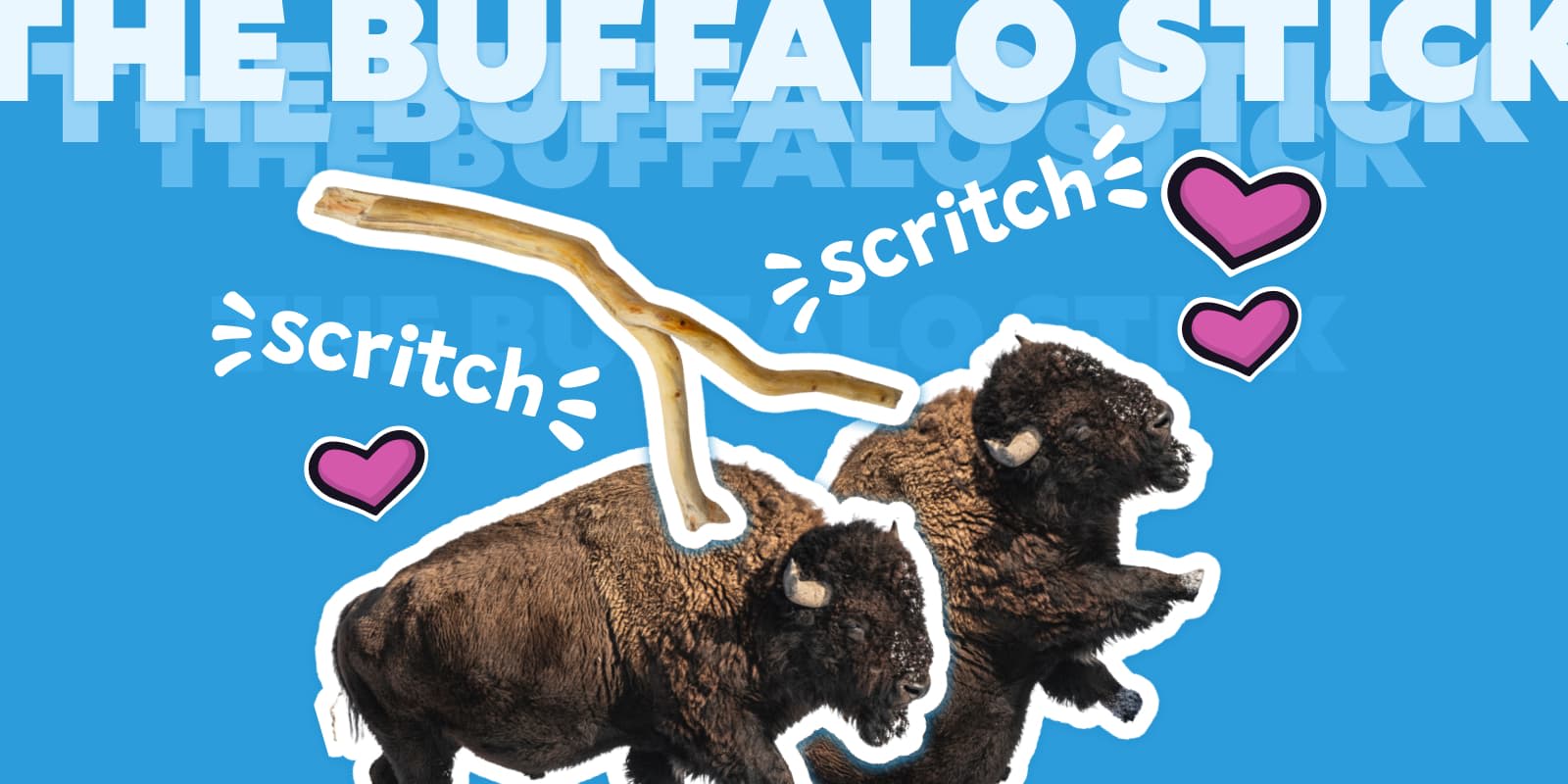 Two cutout images of buffalo with a stick badly photoshopped onto them. There are scritch sound effects and the caption "the buffalo stick"