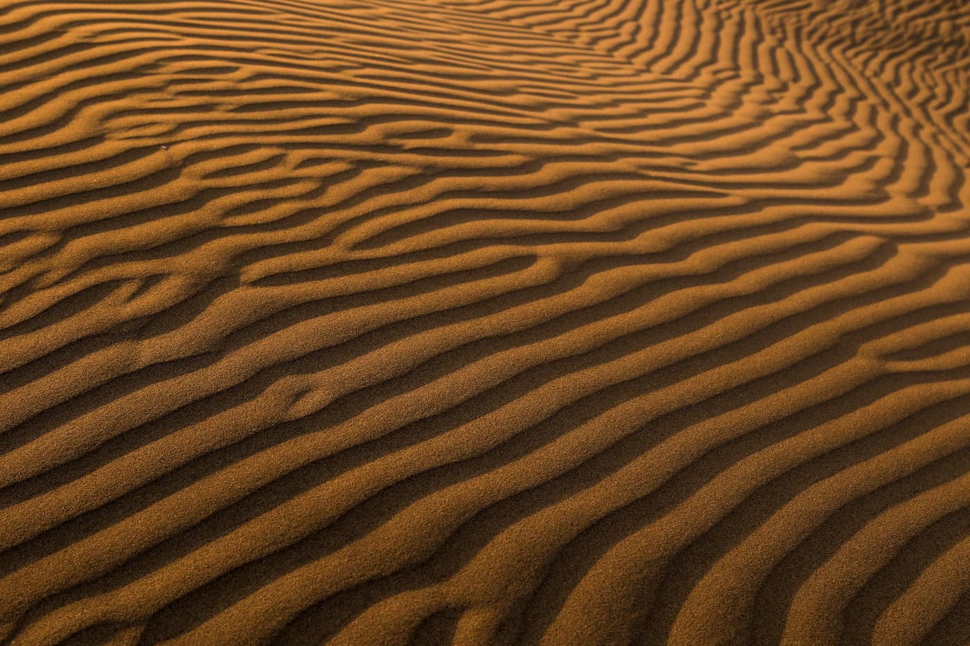 A pattern formed in sand dunes by wind.