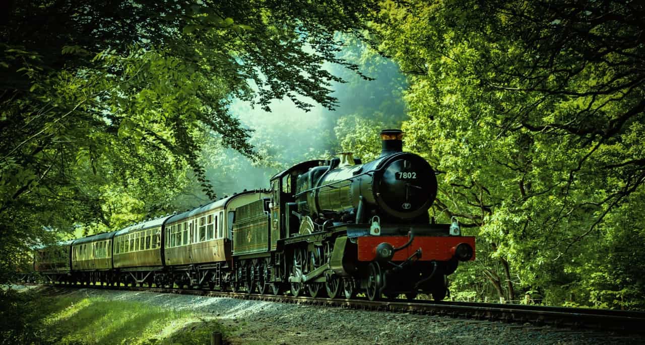 A train in a forest.