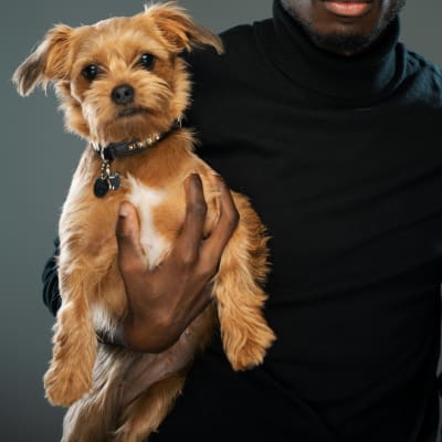 man in black crew neck shirt carrying brown long coated small dog