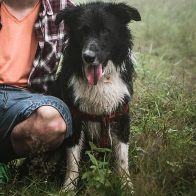 man sitting beside black dog