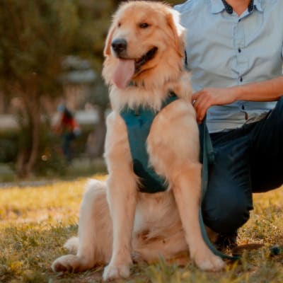 man in blue dress shirt sitting beside brown dog during daytime